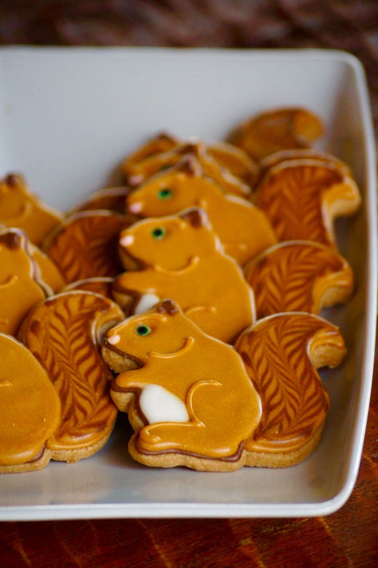 some cookies with icing in the shape of squirrels on a white plate and brown table cloth