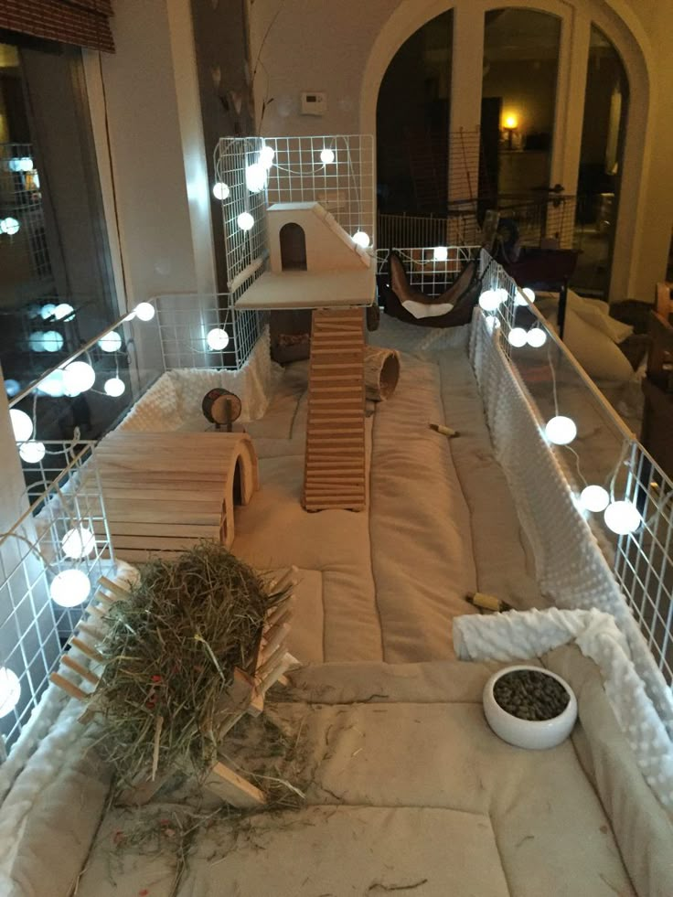 an indoor cat house with lights on the ceiling and several cats in it's cages