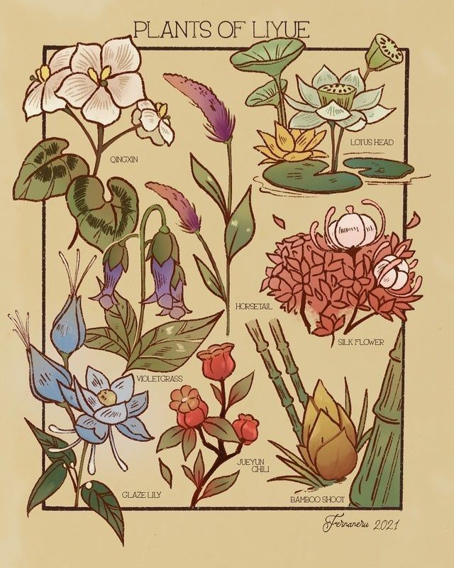 an illustration of flowers and plants with the words plants of live written below each flower