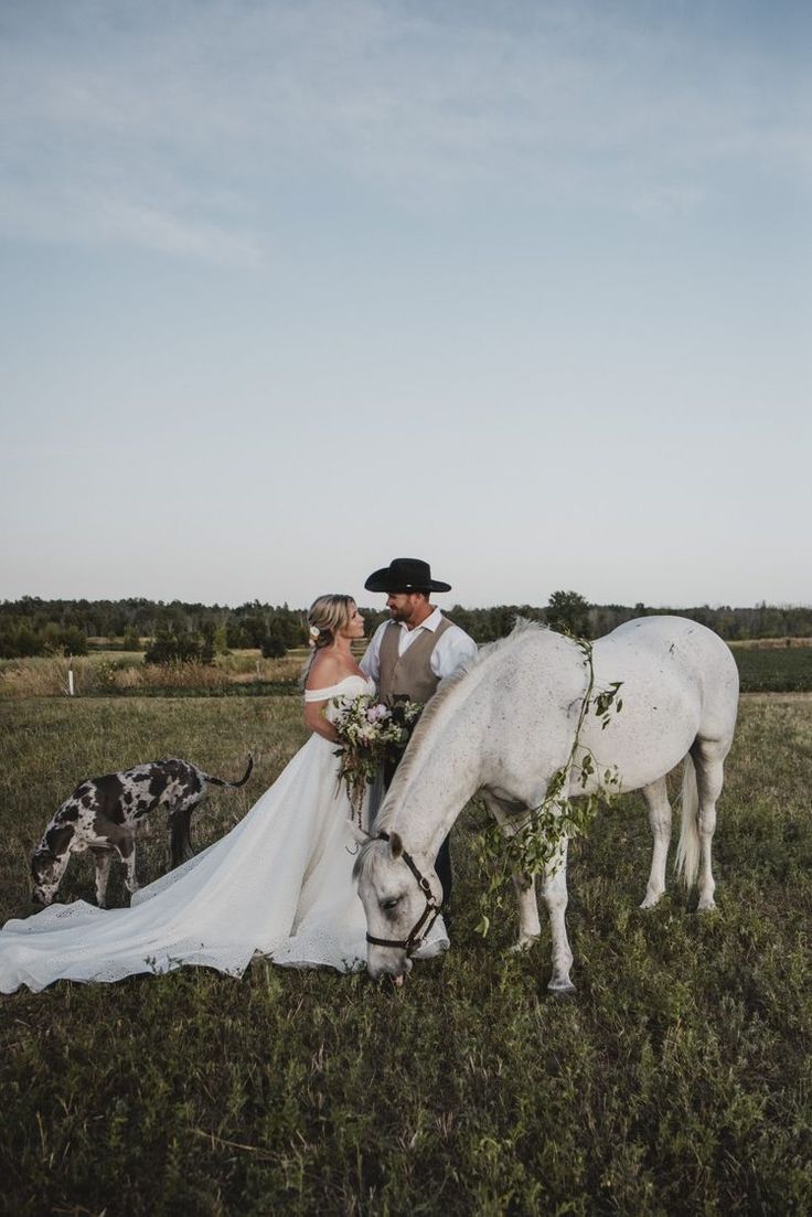 a bride and groom standing next to a white horse in a field with two cows