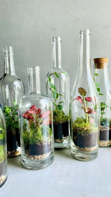 several glass bottles filled with plants and dirt