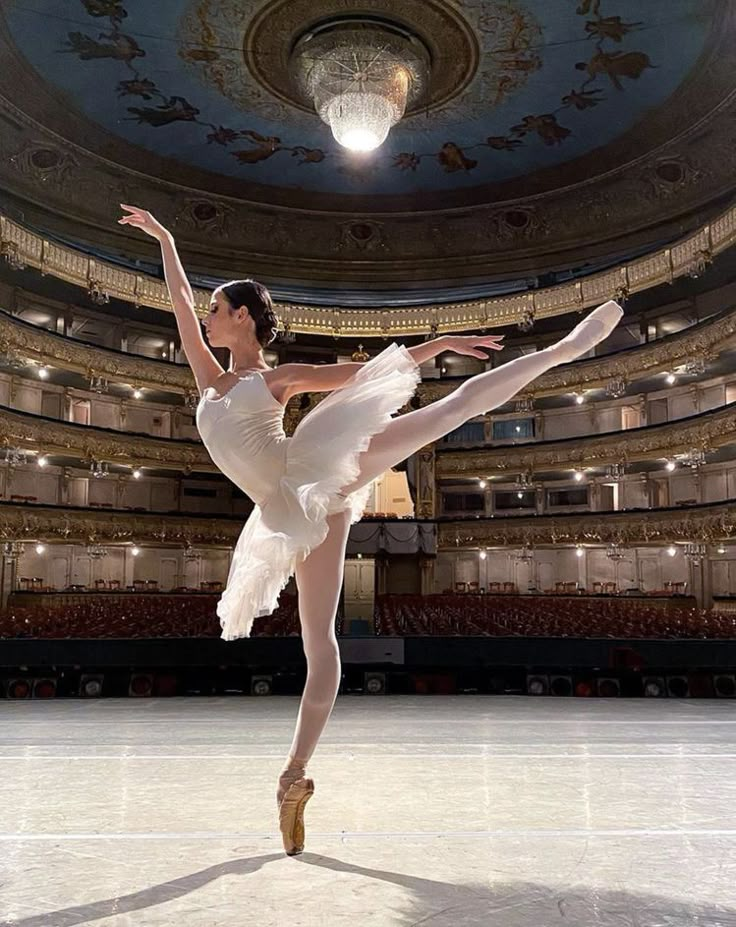 a ballerina is in the middle of an ice skating rink