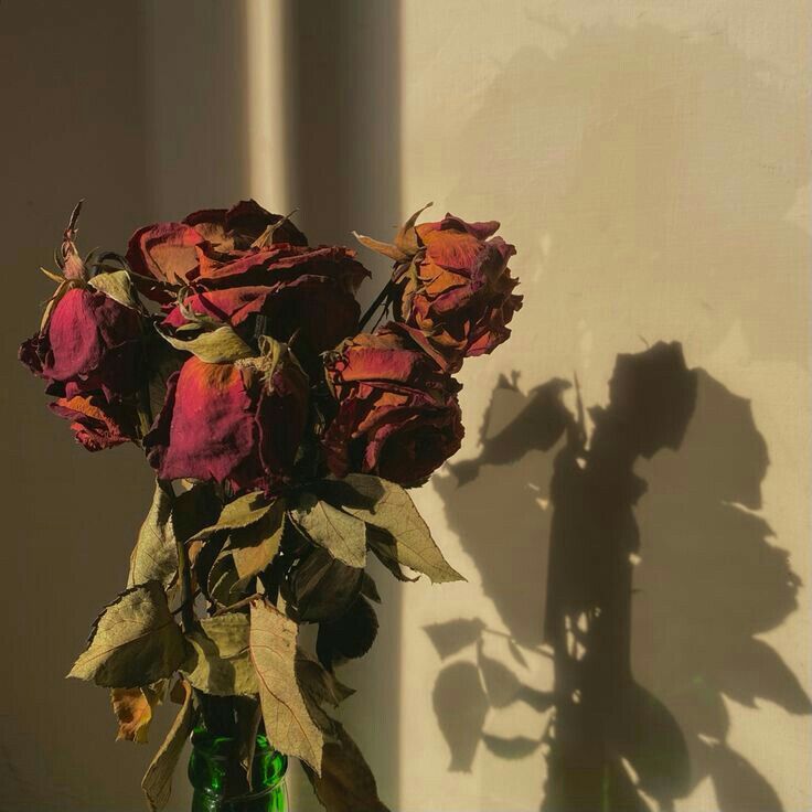 a vase filled with red roses sitting on top of a table next to a wall