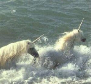 two white horses are running through the ocean water with their tails wrapped around each other