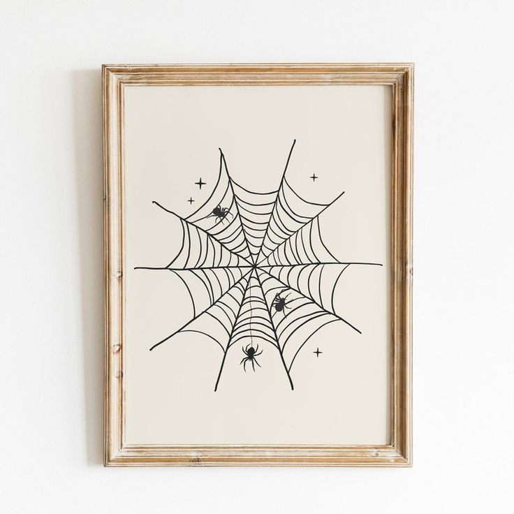 a spider's web is hanging on the wall in front of a framed photograph