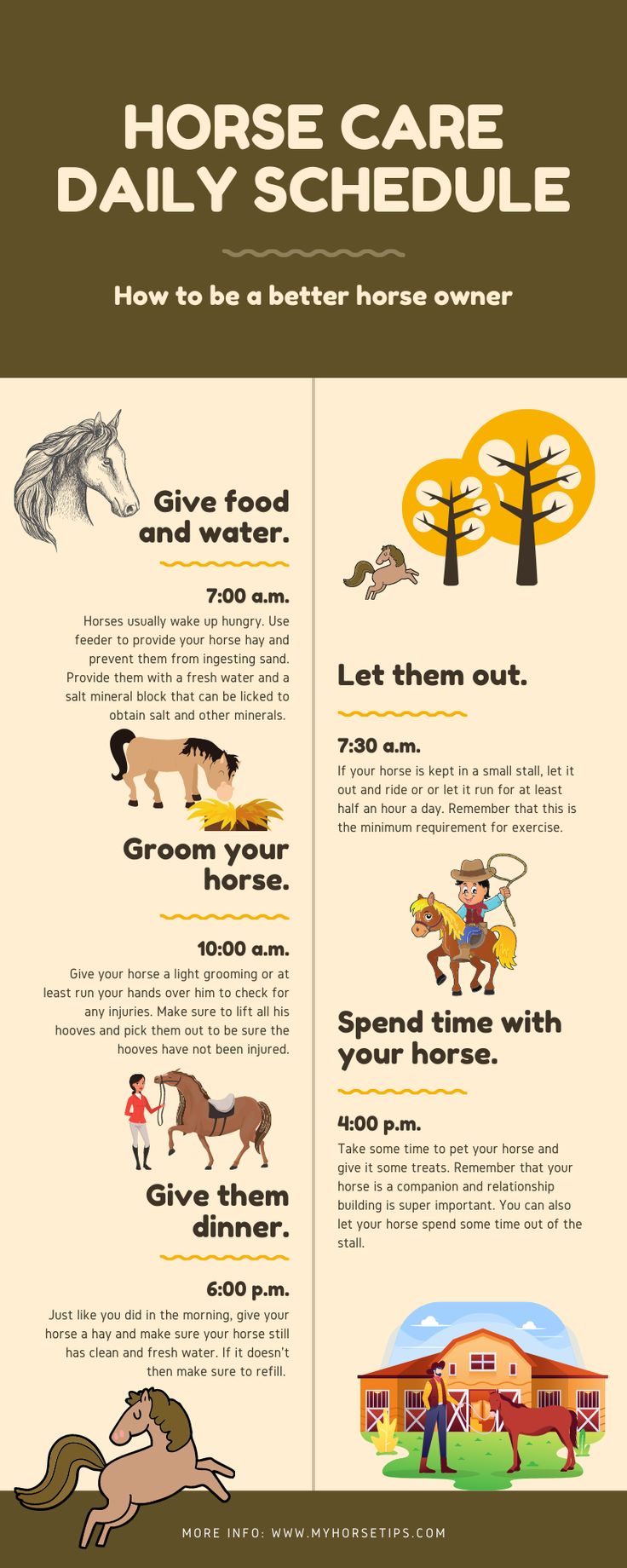 the horse care schedule is shown in this graphic style, with horses and their names on it