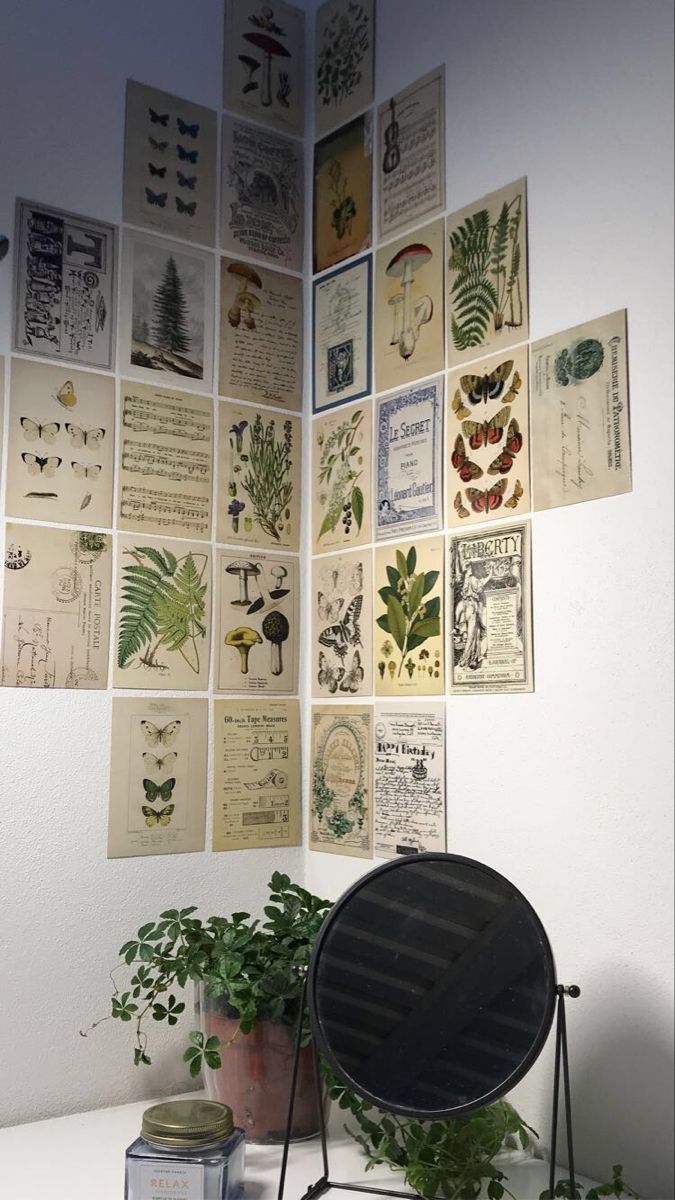 there are many plants and pictures on the wall