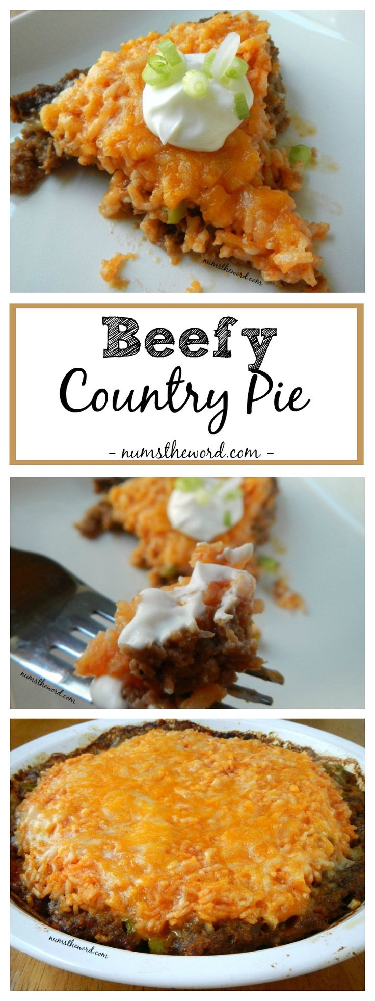 beefy country pie with sour cream on top