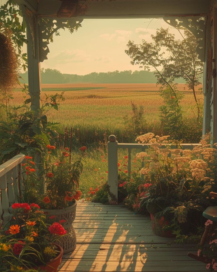 the sun shines on an outdoor porch with potted plants and flowers in bloom