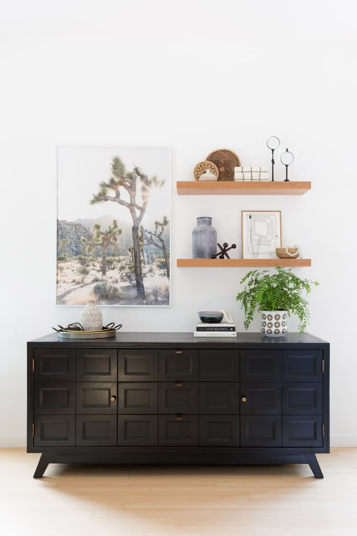 a living room with two shelves on the wall and a plant in front of it