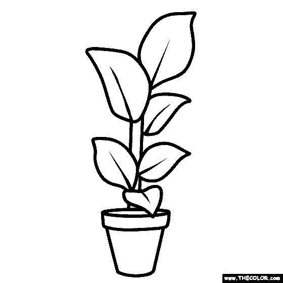 a black and white drawing of a potted plant with leaves on the top,