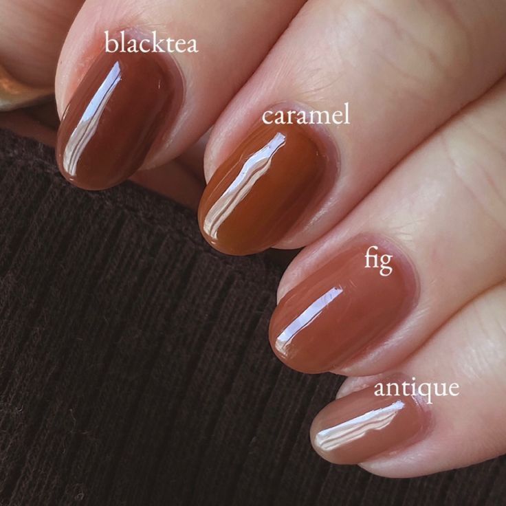 Fig Nail Polish, Two Tone Gel Nails, Translucent Brown Nails, Nails Design Ideas 2024, Jelly Brown Nails, Warm Nail Colors, Caramel Nails, Jelly Nail Polish, Milky Nails