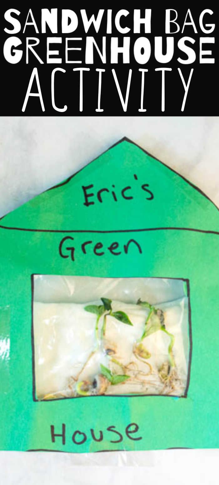 a green house with the words sandwich bag greenhouse activity written on it