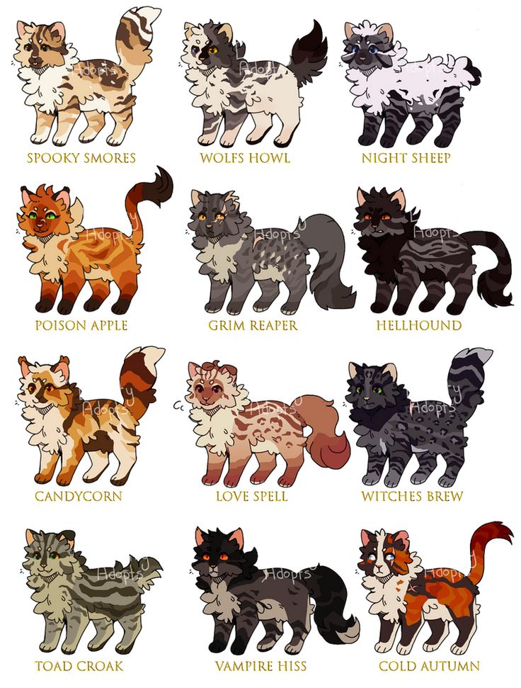 a bunch of cats that are all different colors and sizes, with the names on them