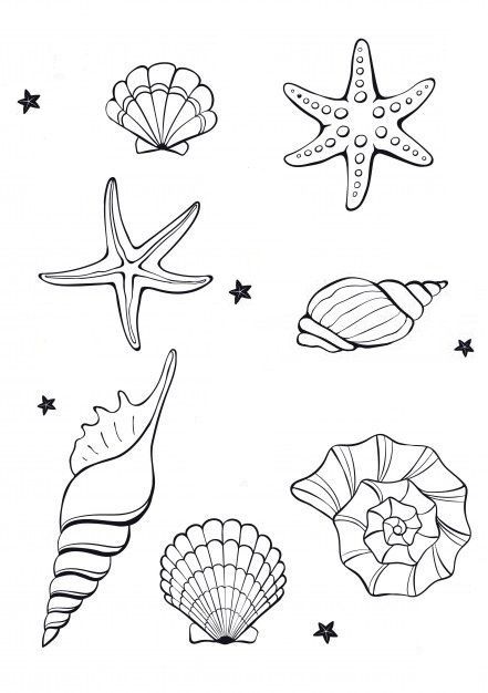 Seashell Coloring Pages, Seashell Drawing, Shell Drawing, Seashell Tattoos, Shell Tattoos, Pola Sulam, Art Tattoos, Coloring Pages Printable, Mini Drawings