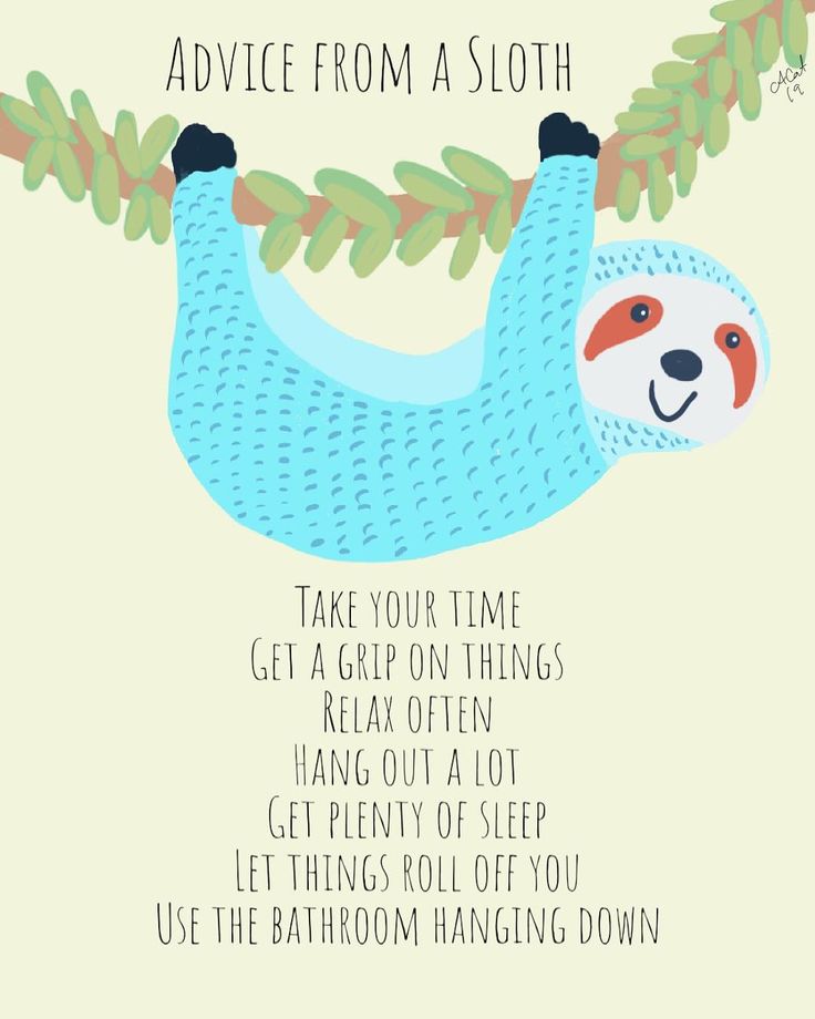 a card with a slotty hanging from a tree and the words advice from a sloth