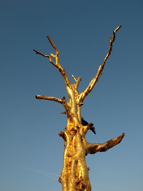 a tree that has been carved to look like it's growing out of the ground