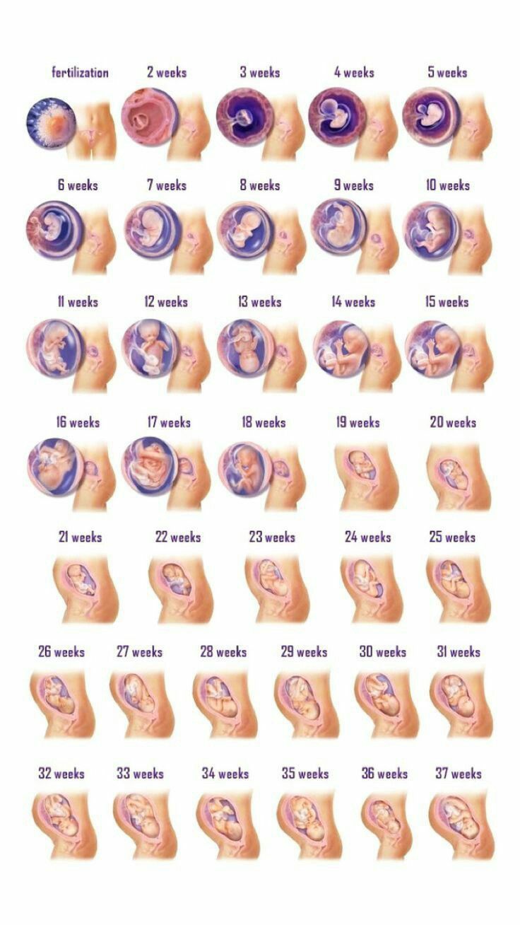 an image of different types of human body parts