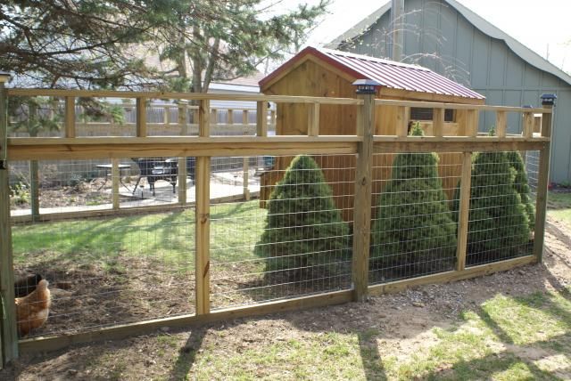 a chicken is standing next to a fenced in area with a small house behind it