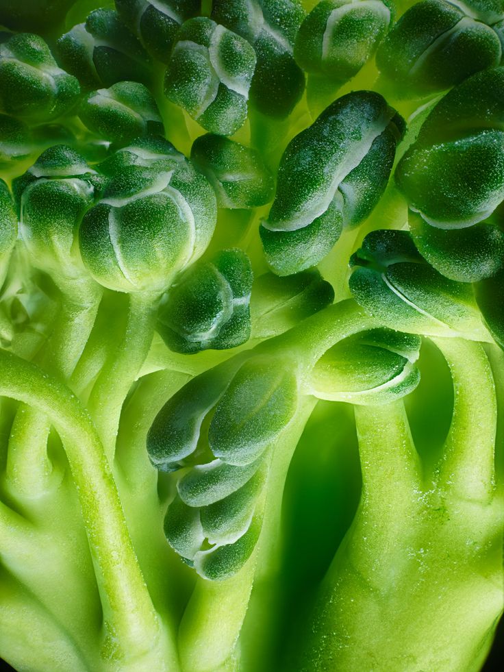 close up view of the green leaves of broccoli