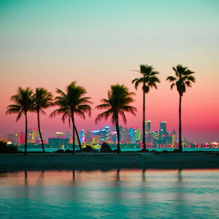 palm trees line the beach in front of a cityscape at sunset, with skyscrapers in the distance