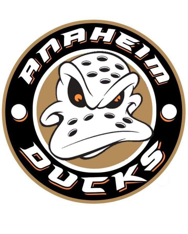 the logo for an ice hockey team, featuring a duck's head with orange eyes