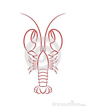 the lobster is drawn in red on a white background stock photo - image 397984