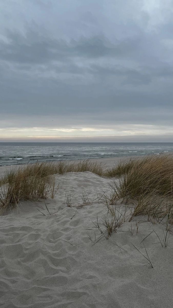 the beach is covered in sand and grass