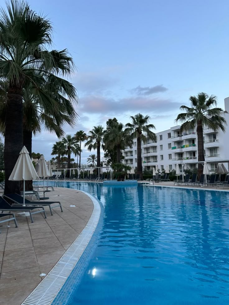 an empty swimming pool with lounge chairs and palm trees in the foreground, at dusk