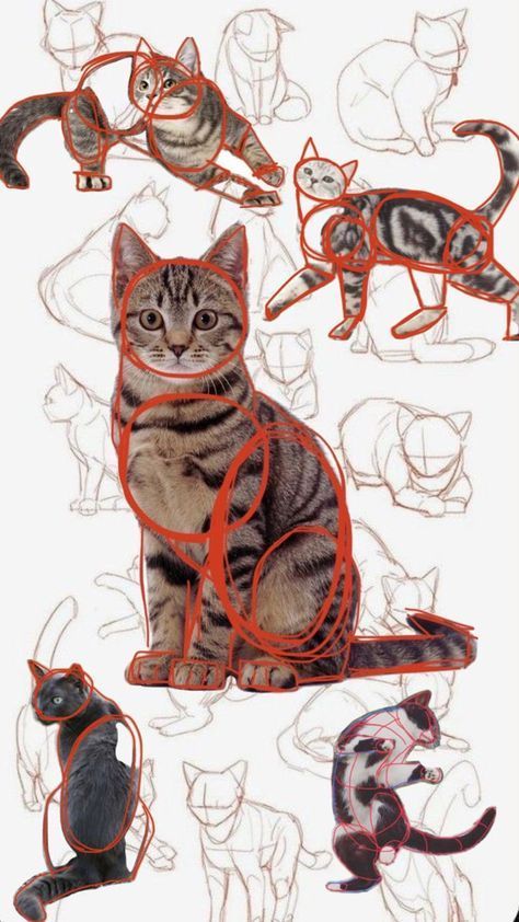 a drawing of cats with red string around their necks