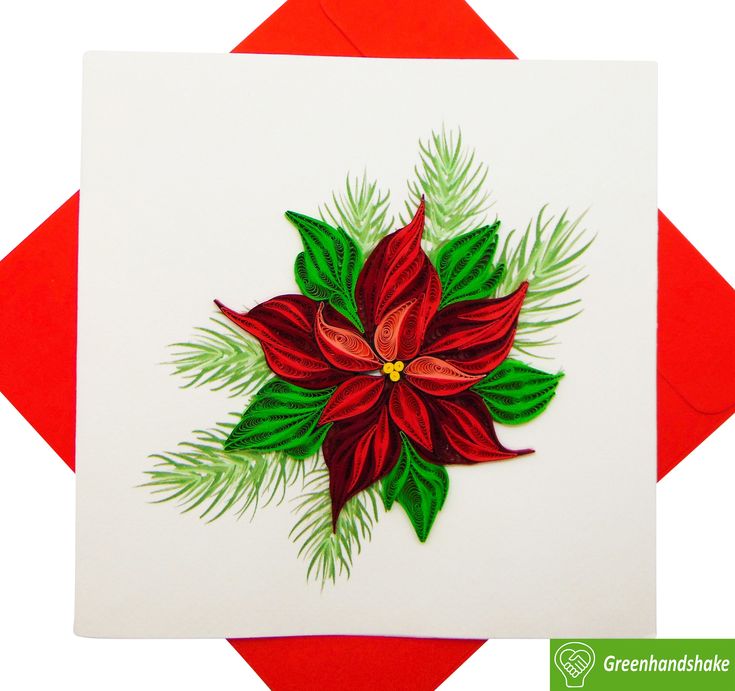 a red and green poinsettia on a white card