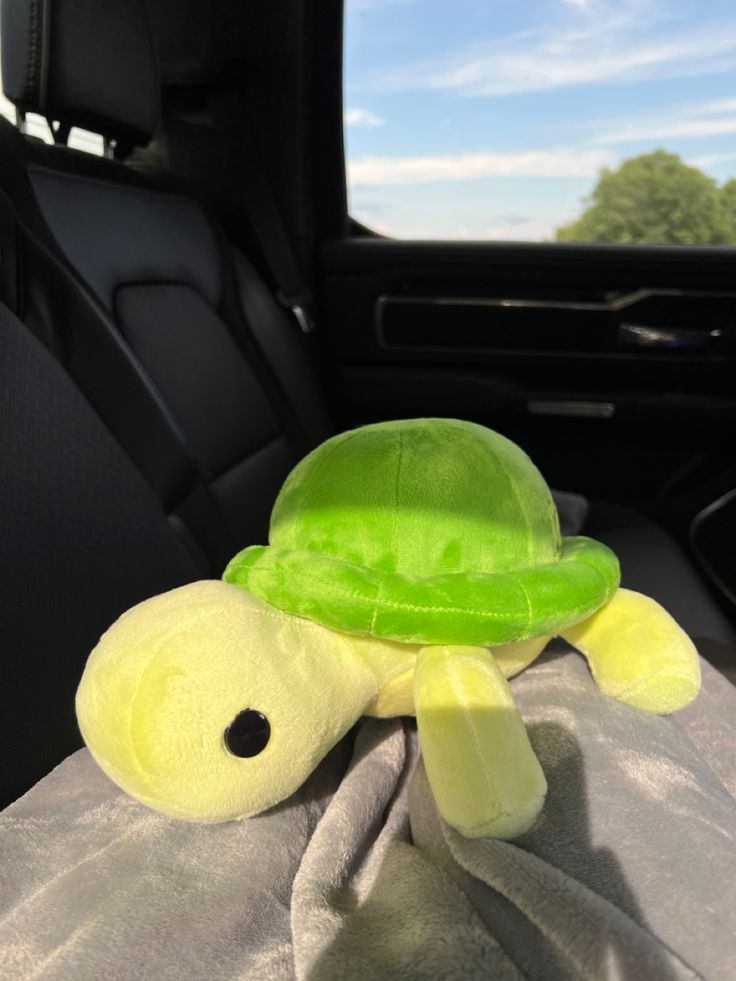 a stuffed turtle in the back seat of a car with a green hat on it's head