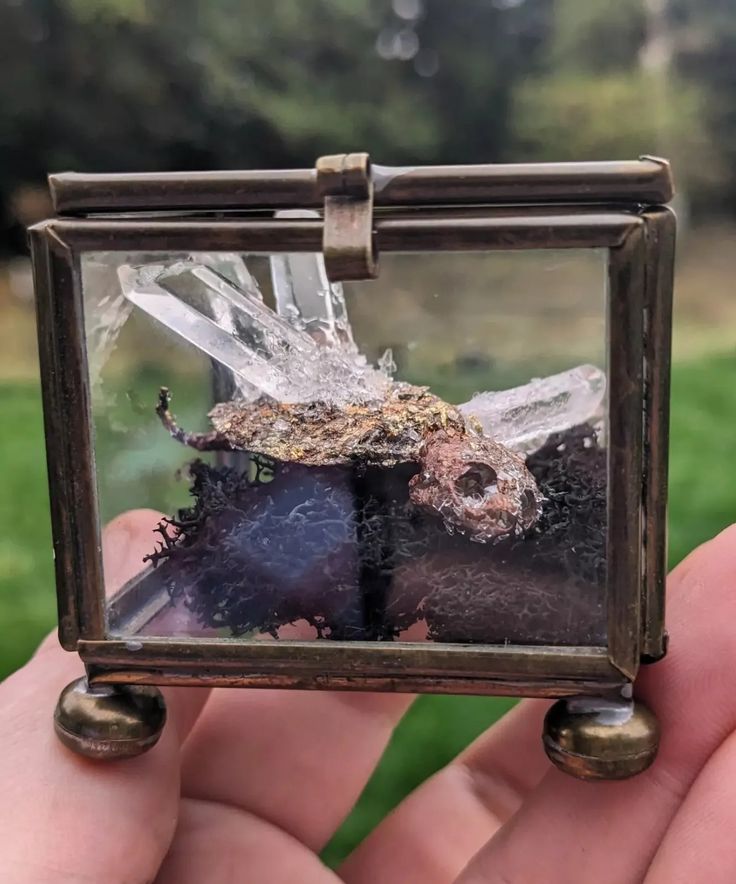 a small glass box with some kind of animal in it's back pocket, held up by two hands