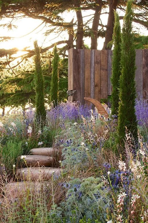 an outdoor garden with lots of flowers and trees