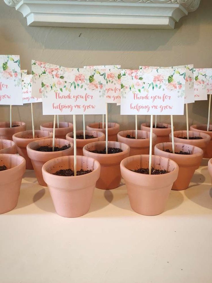 there are many potted plants on the table with little signs in each planter