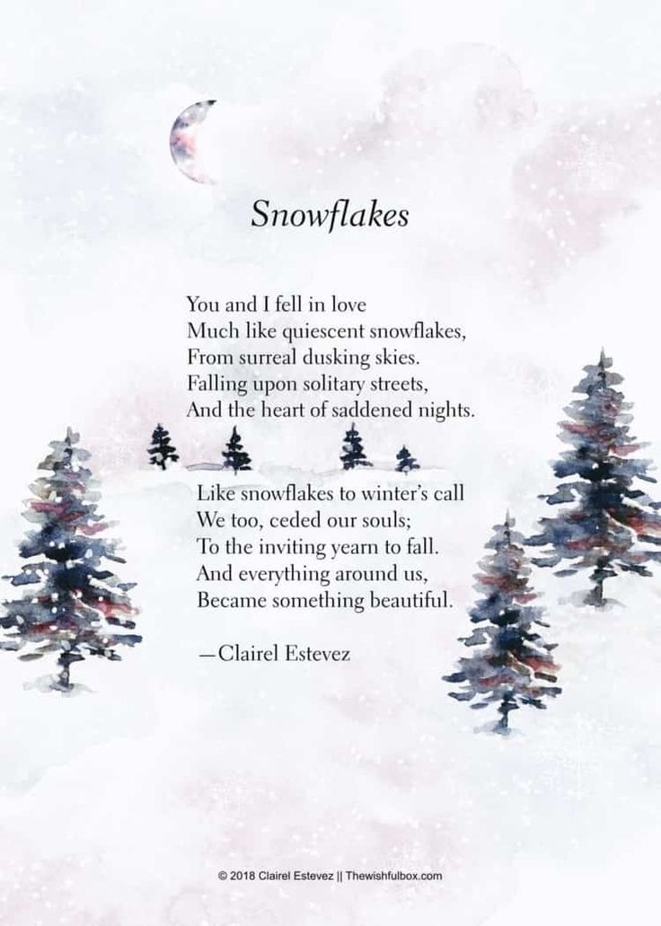 snowflakes with the words you and i fell in love much like queen elizabeth