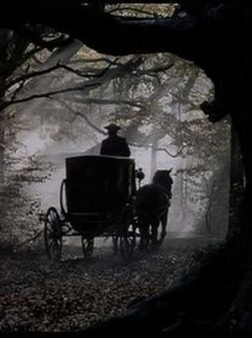 a horse drawn carriage traveling through a foggy forest