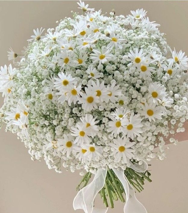 a bouquet of white daisies and baby's breath