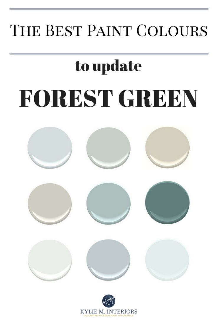 the best paint colors to update forest green