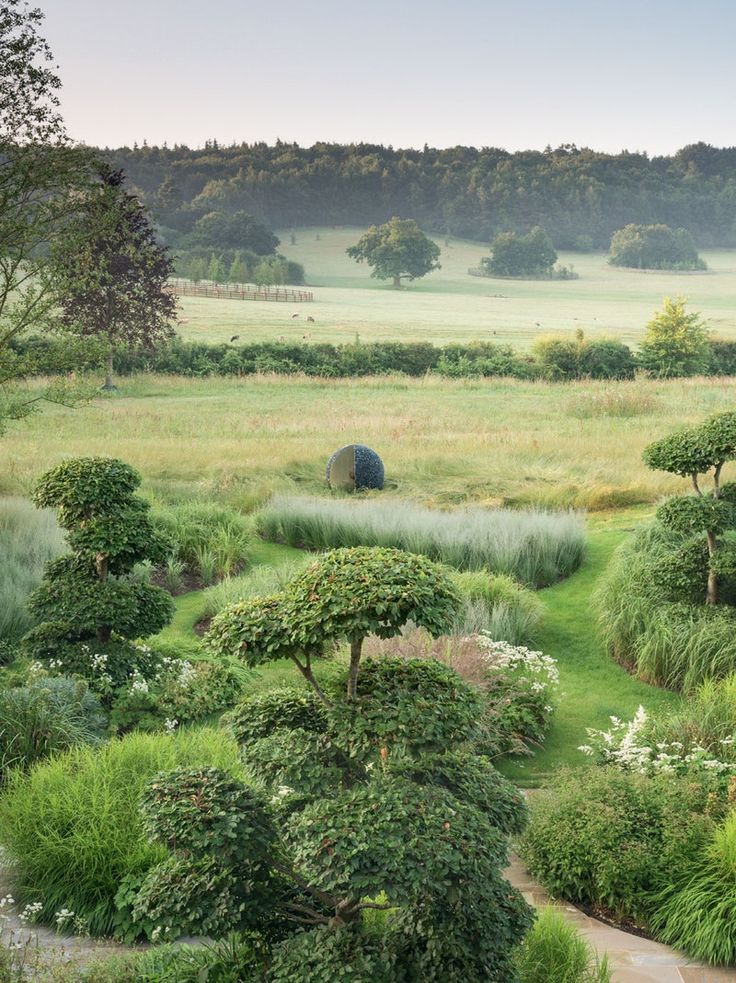 a lush green field filled with lots of trees and bushes in the middle of it