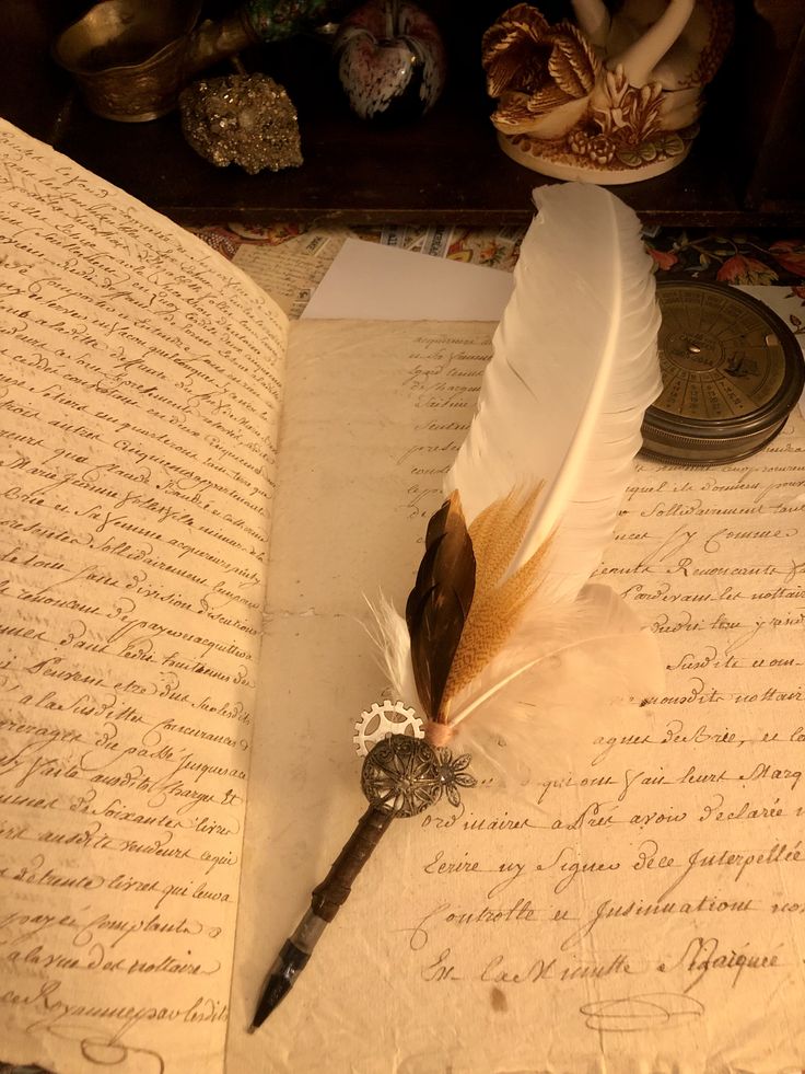 an open book with a feather quill and pen resting on it next to some other items