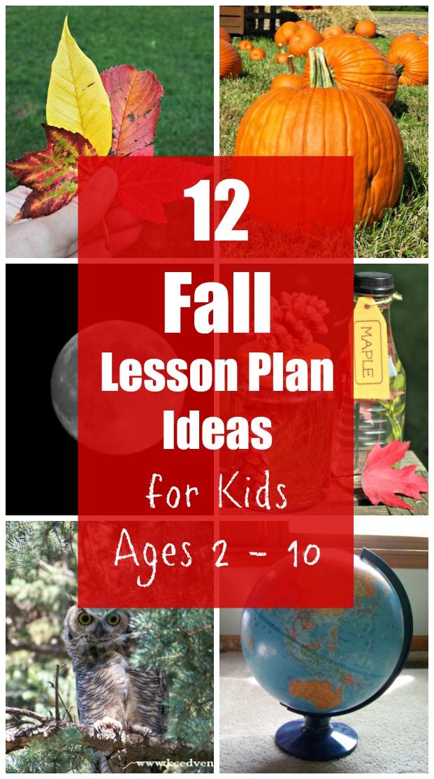 fall lesson plan for kids with pumpkins, leaves and other things in the background