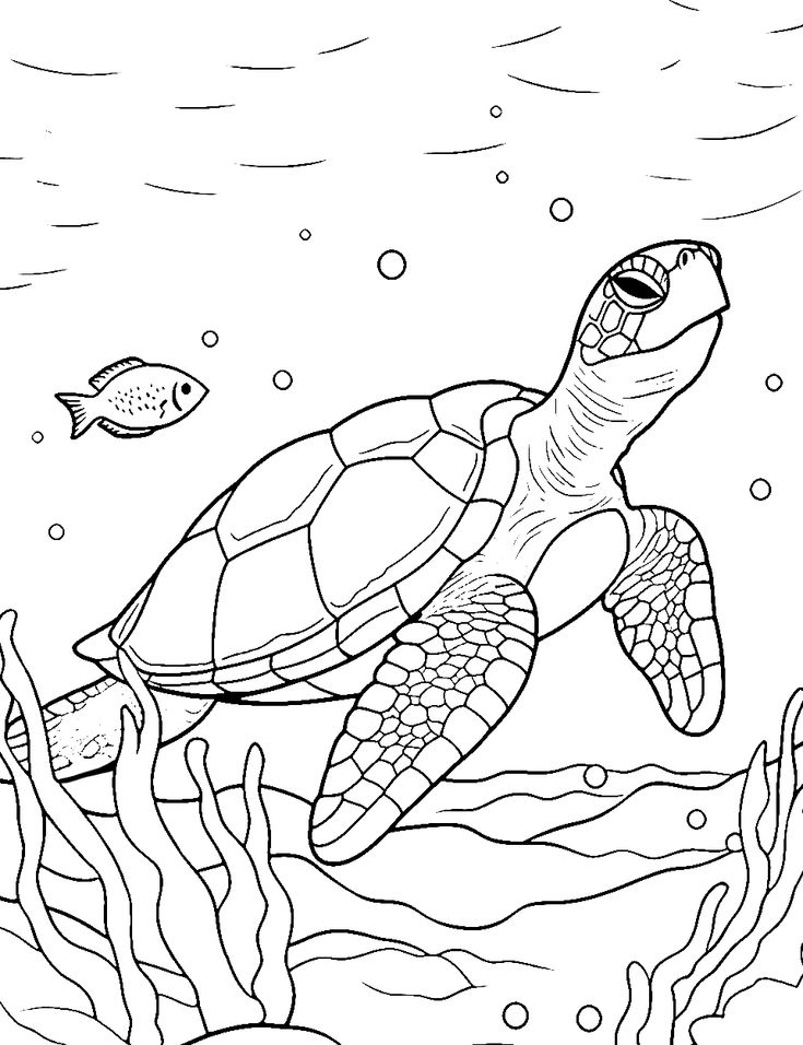 a sea turtle swimming in the ocean coloring page