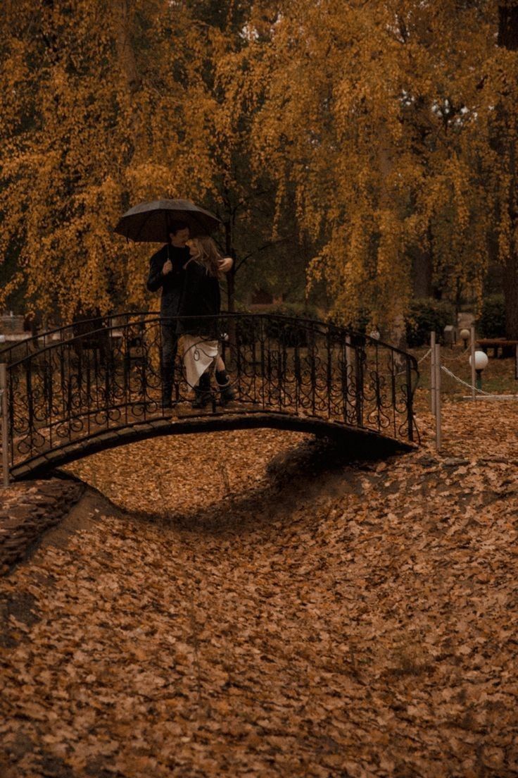 two people under an umbrella on a bridge in the fall leaves, with geese nearby