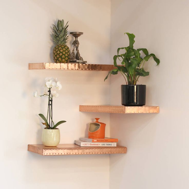 three wooden shelves with plants and books on them