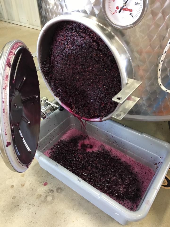 a bucket filled with purple liquid sitting on top of a metal container next to a pressure gauge