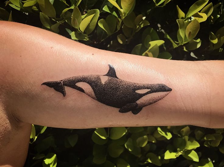 an orca whale tattoo on the arm