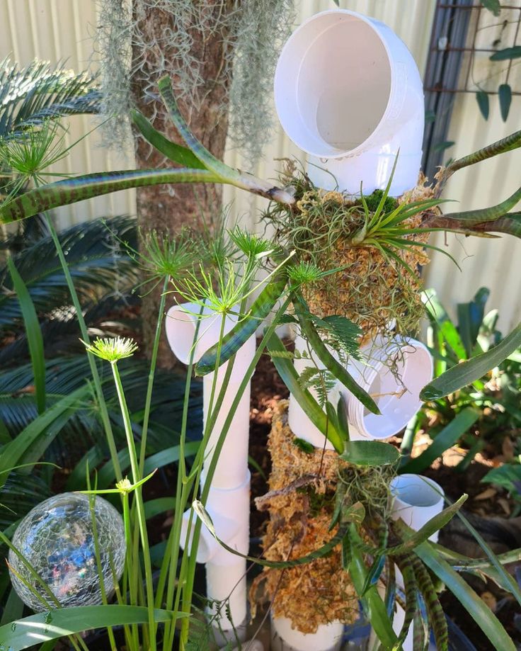 an assortment of air plants are growing on the top of a white toilet in a garden