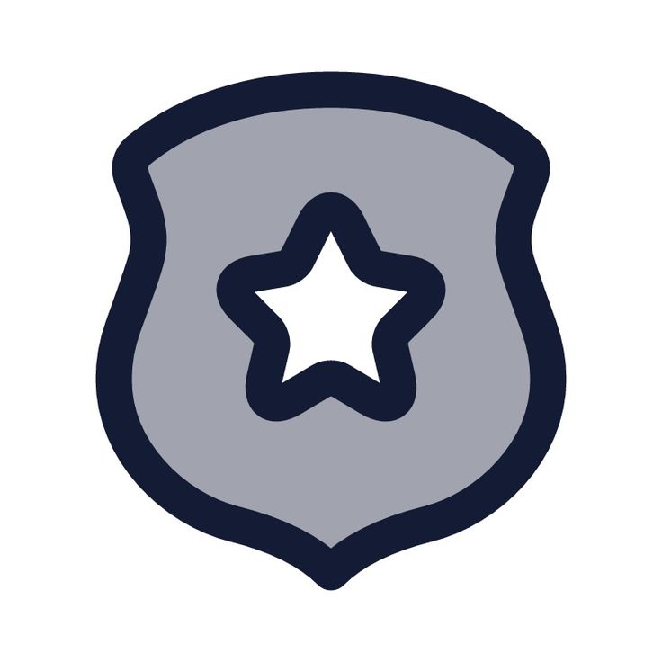 a police badge with a star on the front and side, as if it were an emblem