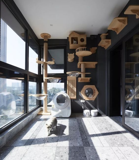 a room with lots of cat toys on the wall and in front of large windows